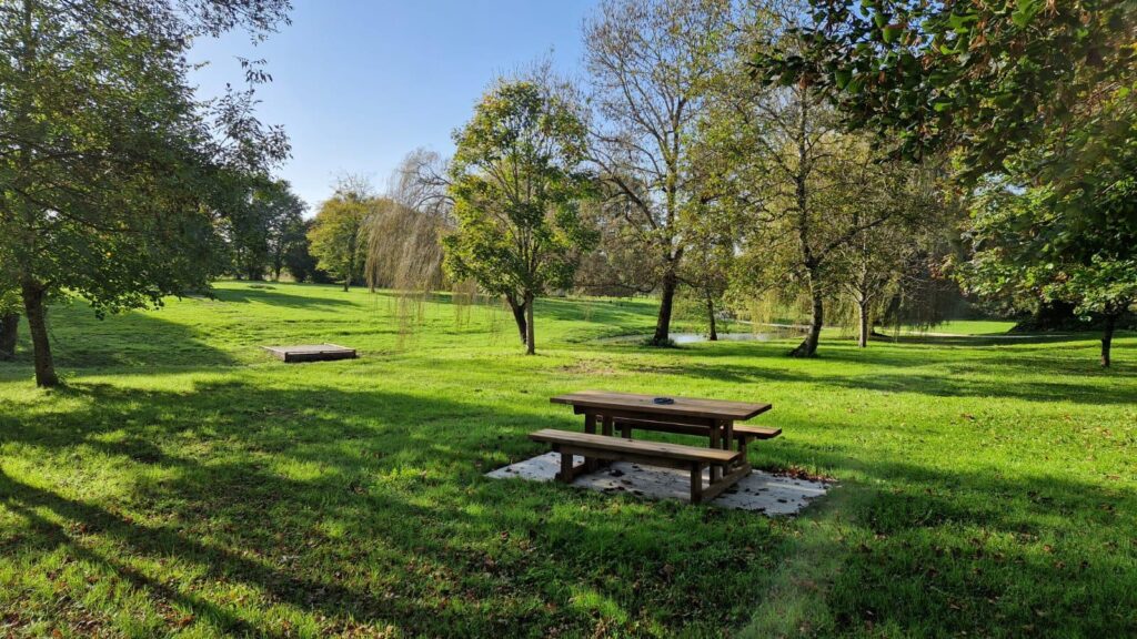 Table de pique-nique bois dans un parc arboré ensoleillé Table de pique-nique en bois sur une pelouse ensoleillée entourée d'arbres verdoyants près d'un étang.