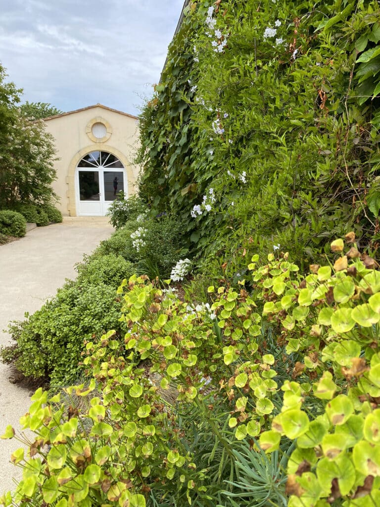 Jardin Méditerranéen avec Mur Végétal et Allée Fleurie Allée de jardin fleurie menant à un bâtiment beige avec porte vitrée cintrée et mur de plantes grimpantes.