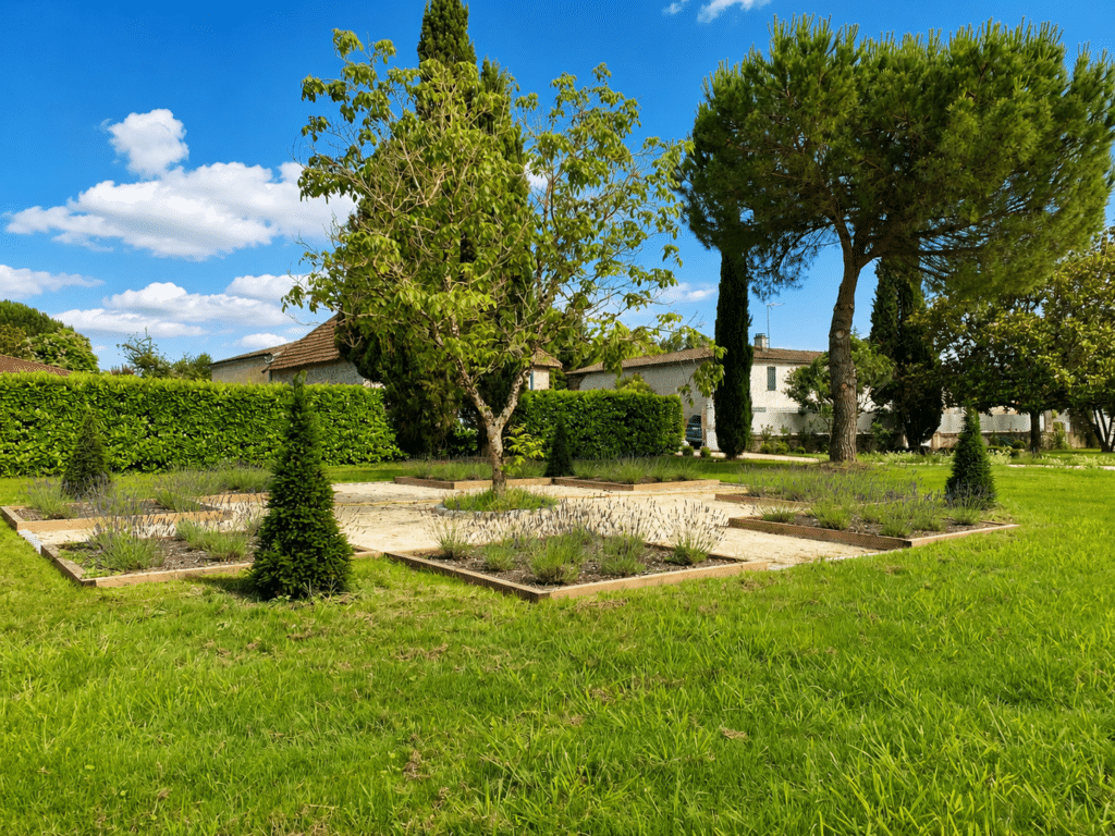 Aménagement de Jardin Paysager avec Lavande et Arbres Jardin paysager avec carrés de lavande, arbres variés et pelouse sous un ciel bleu d'été.