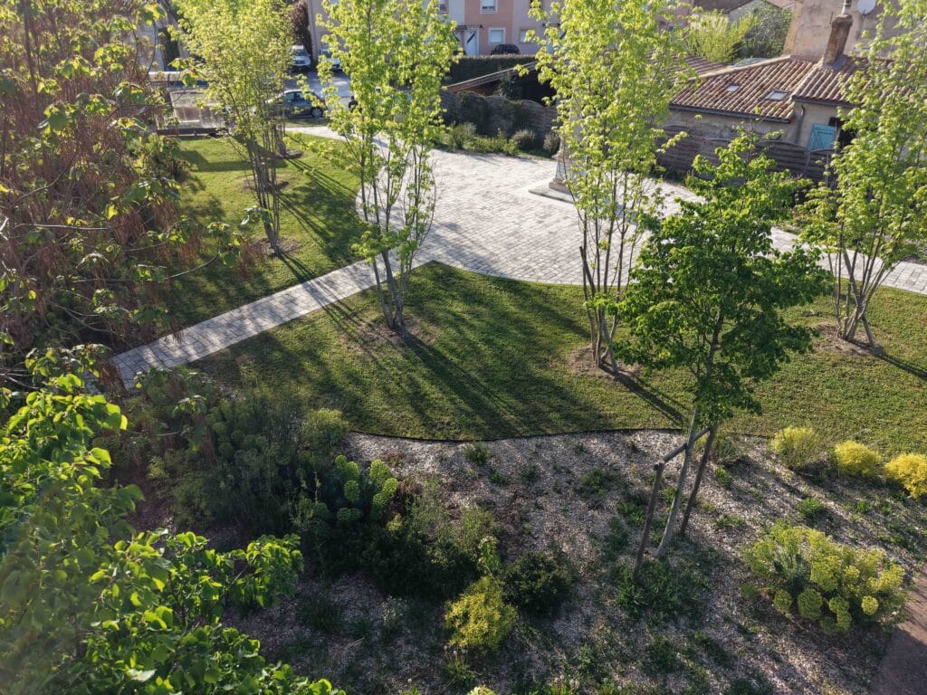 Aménagement Jardin Paysager : Allées Pavées et Arbres Jardin ensoleillé avec allée pavée, jeunes arbres et massif végétal.
