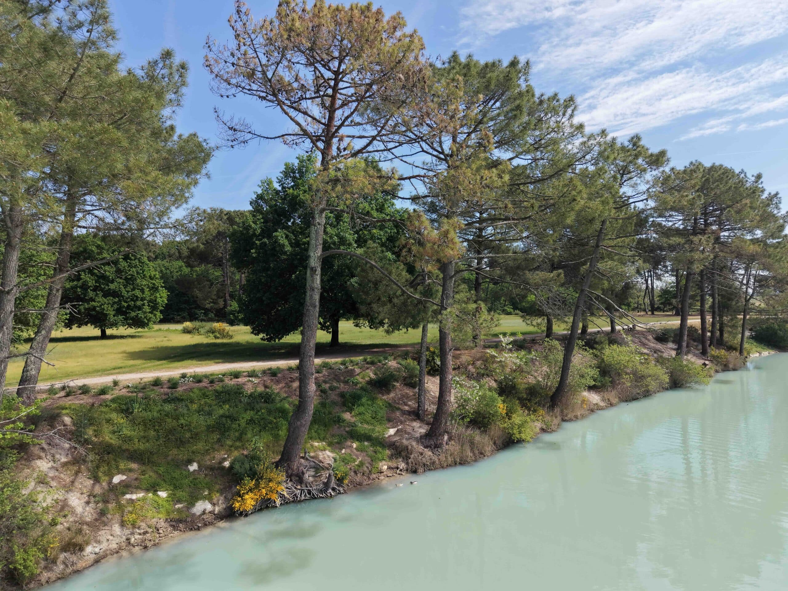 Pins parasols bordant un canal turquoise sous un ciel bleu dégagé avec un sentier verdoyant.