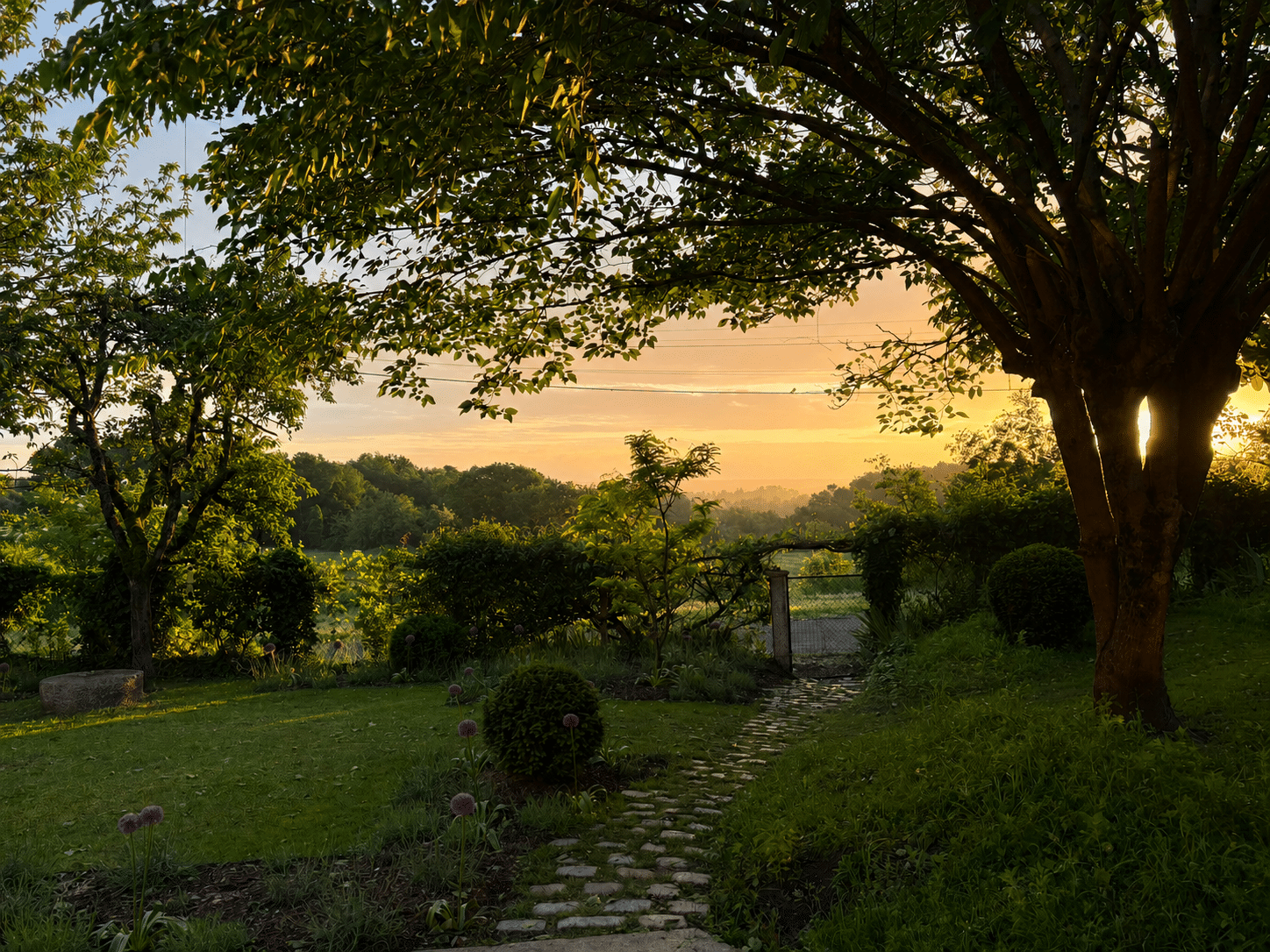 Chemin de pavés dans un jardin fleuri au coucher du soleil ouvrant sur un paysage vallonné doré.