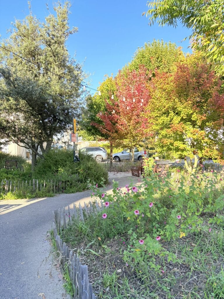 Parc d'automne avec allée fleurie et arbres colorés Parc d'automne avec fleurs roses, sentier sinueux et arbres colorés.
