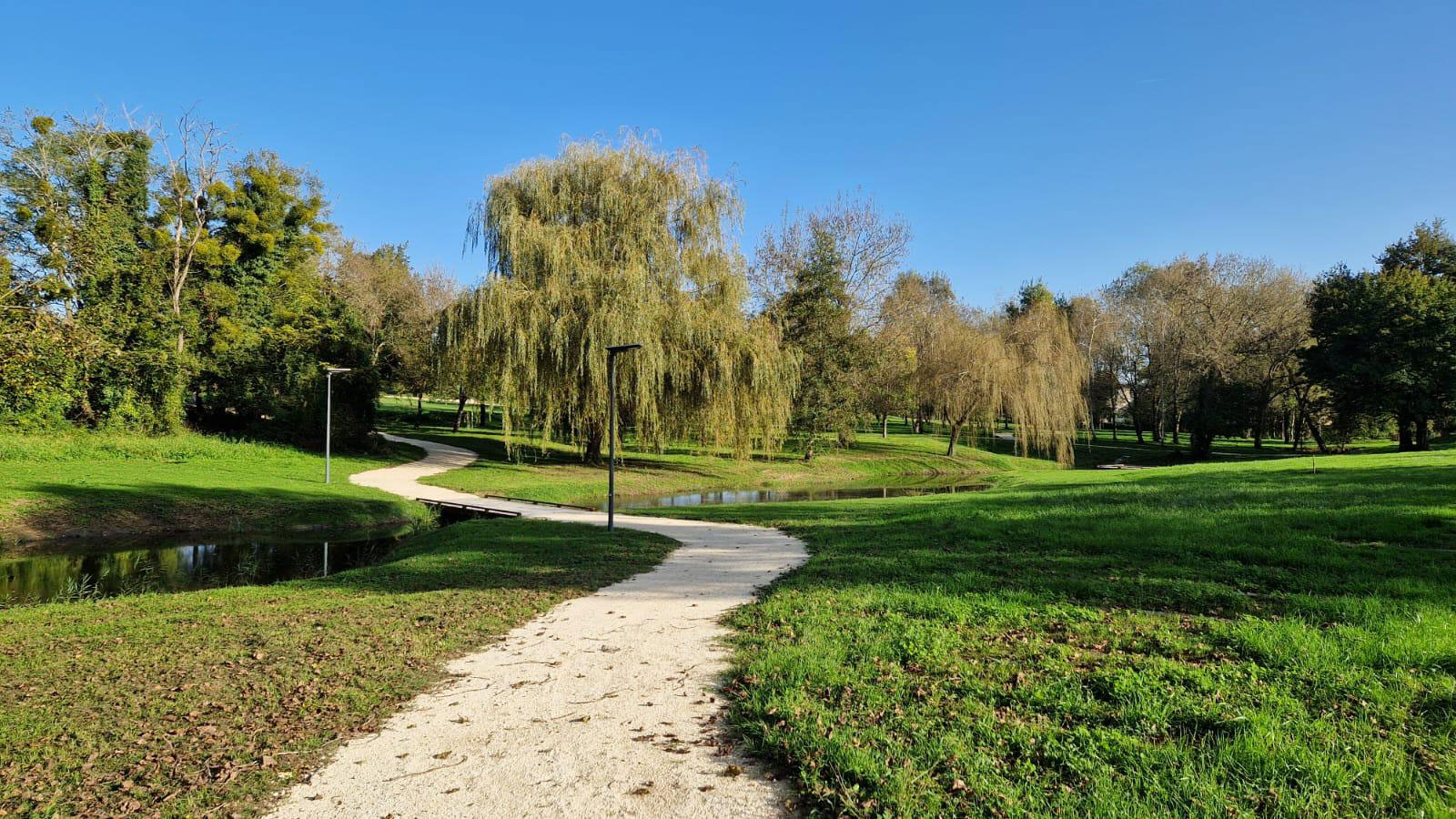 Chemin sinueux dans un parc verdoyant avec saule pleureur et étang sous un ciel bleu.