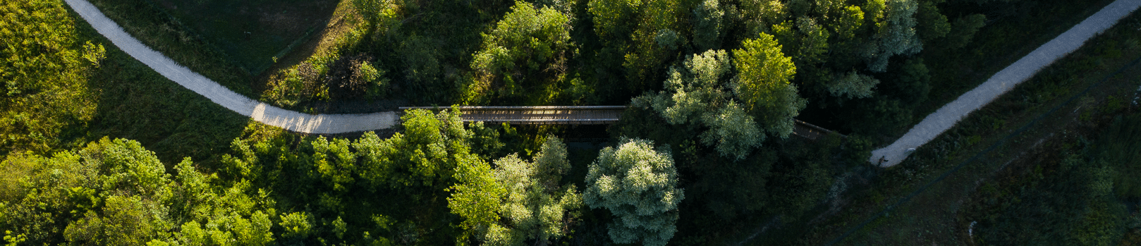 Sentier de gravier et pont en bois vus du ciel à travers une forêt verdoyante ensoleillée.
