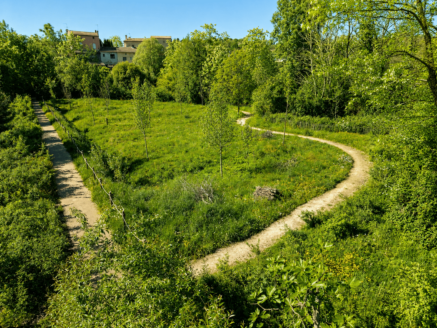Sentier sinueux dans une prairie verdoyante avec jeunes arbres et maisons villageoises sous un ciel bleu.