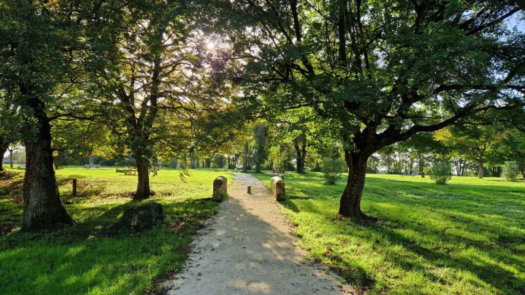 Sentier de Promenade ensoleillé dans un Parc Verdoyant Sentier de terre dans un parc ensoleillé bordé de grands arbres et pelouse verte.